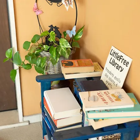 Дом отдыха Palmi